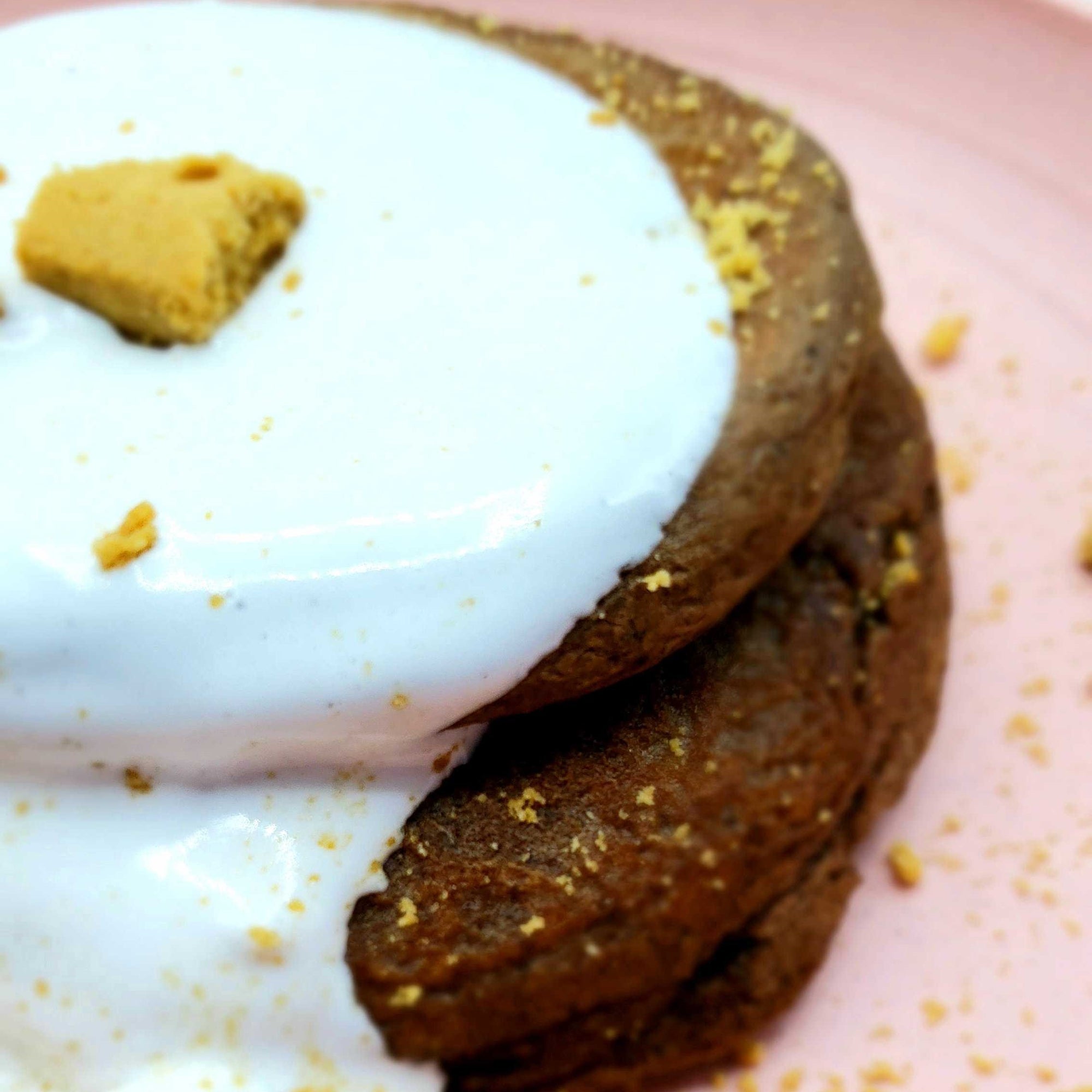 S'mores Pancakes - Funky Mello